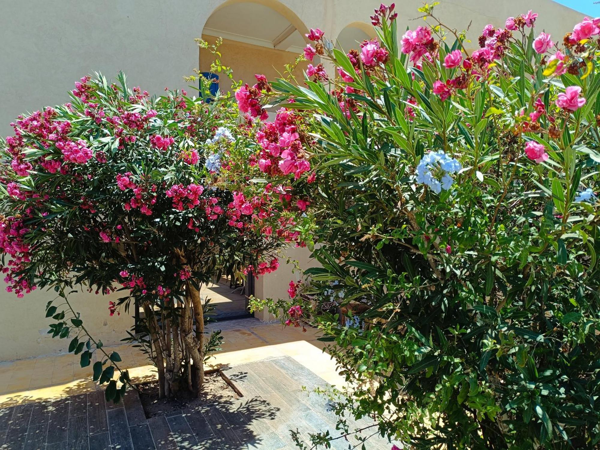 Appartement L'abri côtier de Dar Nezza à Sidi Kaouki Extérieur photo