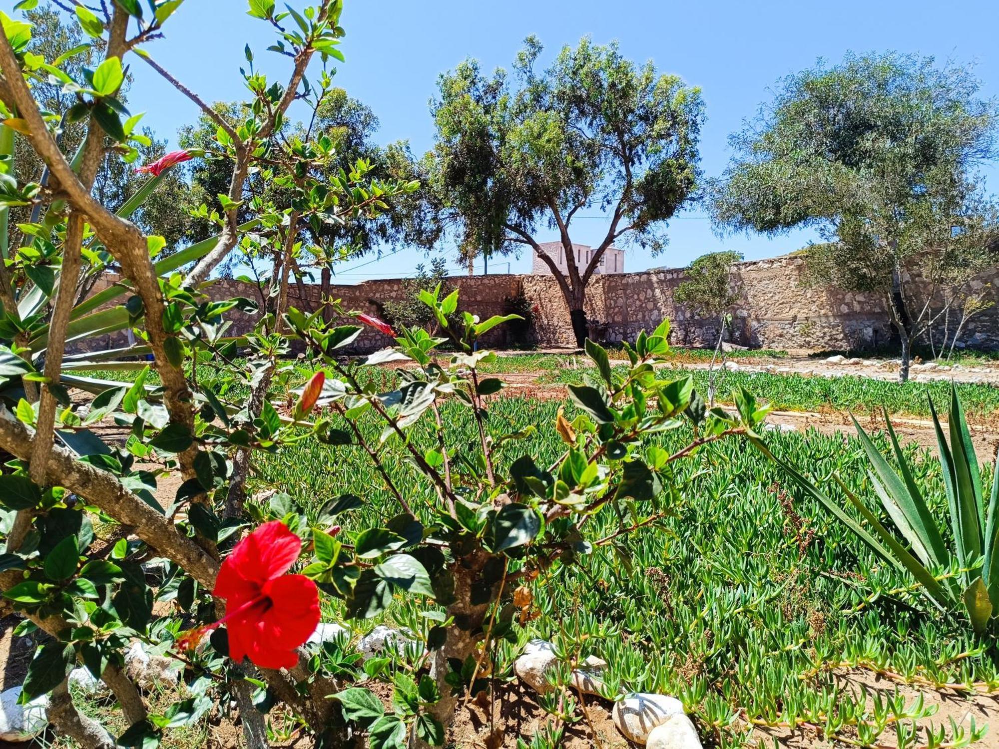 Appartement L'abri côtier de Dar Nezza à Sidi Kaouki Extérieur photo