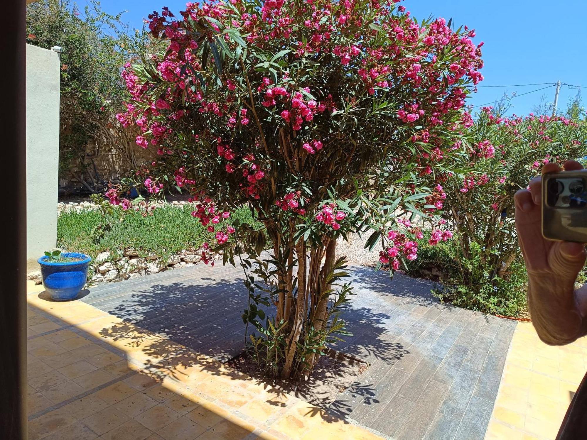 Appartement L'abri côtier de Dar Nezza à Sidi Kaouki Extérieur photo